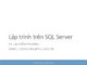 Bài giảng Hệ quản trị cơ sở dữ liệu: Lập trình trên SQL Server - TS. Lại Hiền Phương