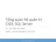 Bài giảng Hệ quản trị cơ sở dữ liệu: Tổng quan hệ quản trị CSDL SQL Server - TS. Lại Hiền Phương