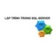 Bài giảng Cơ sở dữ liệu: Lập trình trong SQL server - ThS. Nguyễn Ngọc Quỳnh Châu
