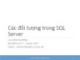 Bài giảng Hệ quản trị cơ sở dữ liệu: Các đối tượng trong SQL Server - TS. Lại Hiền Phương (Phần 1)