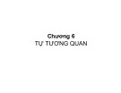 Bài giảng Kinh tế lượng - Chương 6: Tự tương quan